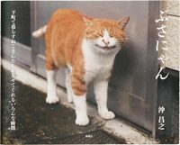 Ugly-Cute Cats (9784103397618)