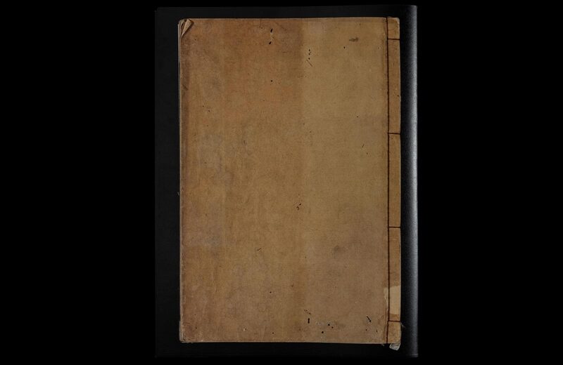 Dead Pages No.5 Parasites - Magdalena Wysocka, Claudio Pogo | moom