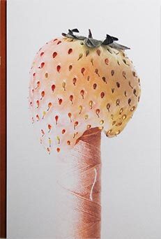 大野真人 Makoto Oono SEPARATE HIDDEN RULES 大野真人- Makoto Oono | moom bookshop - 攝影書與雜誌