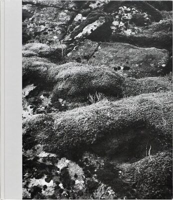 Route 1, Mike and India (9780997009804)