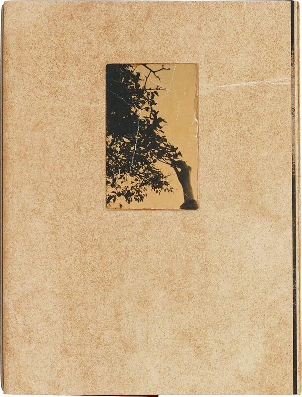 El vuelo lleva al vuelo (9788409748044)