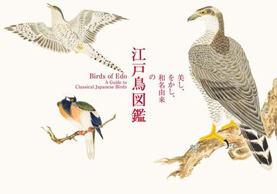 A Guide to Classical Japanese Birds (9784756253217)
