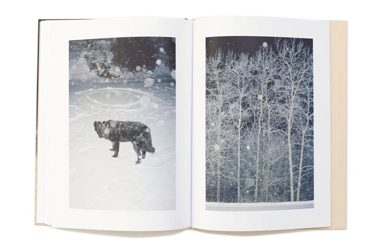Thujord - Ola Rindal | moom bookshop - art books and magazines