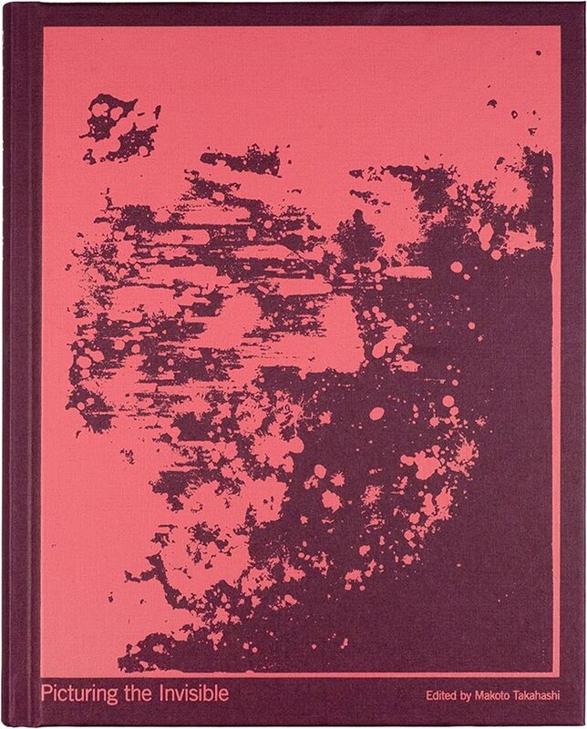 Picturing the Invisible (9789083612706)