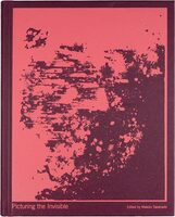 Picturing the Invisible (9789083612706)