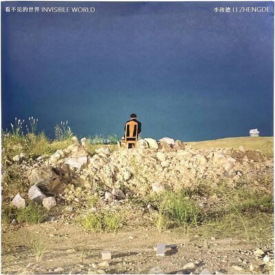 Invisible World (9784908851100)