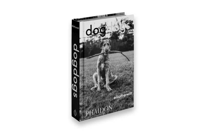 DogDogs - Elliott Erwitt | moom bookshop - 藝術書籍與雜誌
