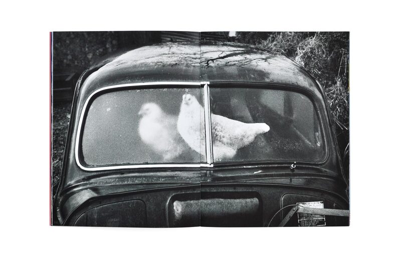 Toilet Martin Paper Parr - Martin Parr | moom bookshop - art books