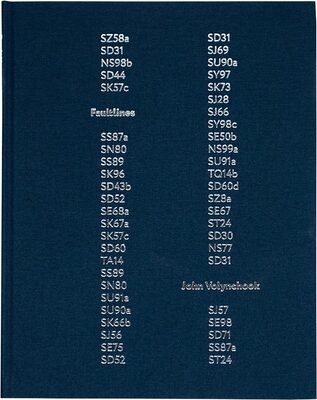 Faultlines (9781915423313)