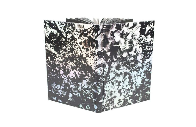 アート・デザイン・音楽 Daido Moriyama: Ango Daido Moriyama: Ango (English Edition) - Daido Moriyama | moom