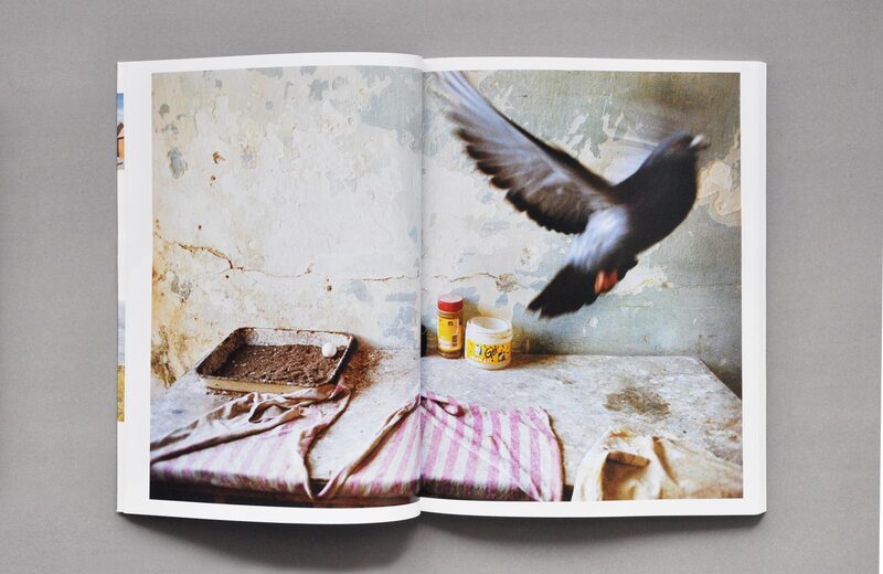 アレックス・ウェブ レベッカ・ノリス・ウェブ 写真集 Alex Webb and Rebecca Norris Webb: Brooklyn, The City Within