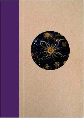 One Picture Book Two #37: Portent (9781590055717)