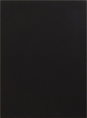 Piero Manzoni: Materials & Lines (9783906915326)