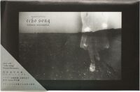 echo song