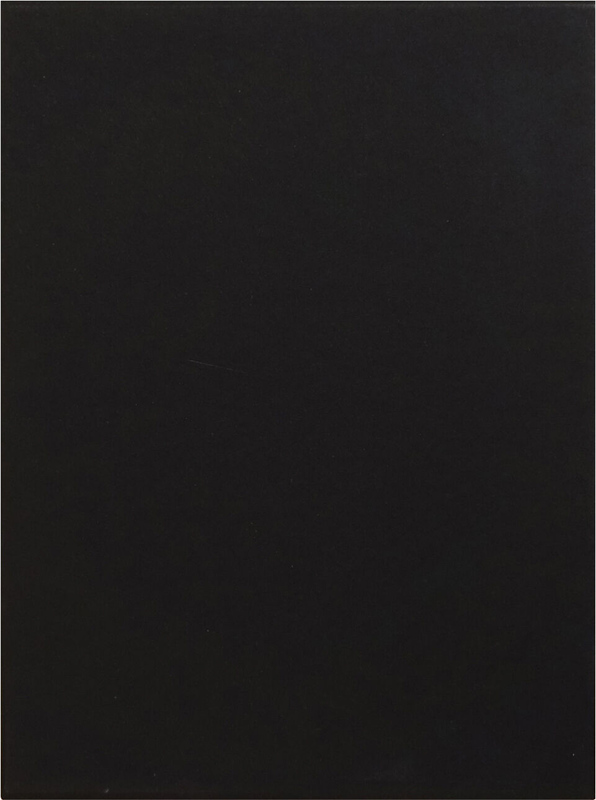 Piero Manzoni: Materials & Lines (9783906915326)