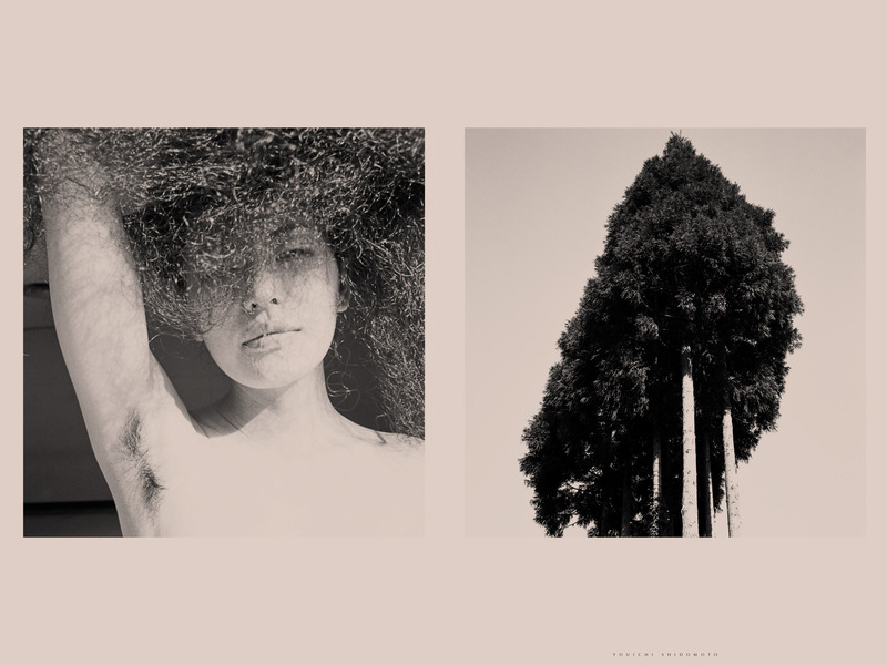 雑誌　TISSUE Magazine No.2 雑誌 TISSUE Magazine No.2