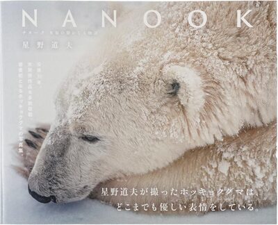 ナヌーク 氷原の静かなる物語 (9784911003572)