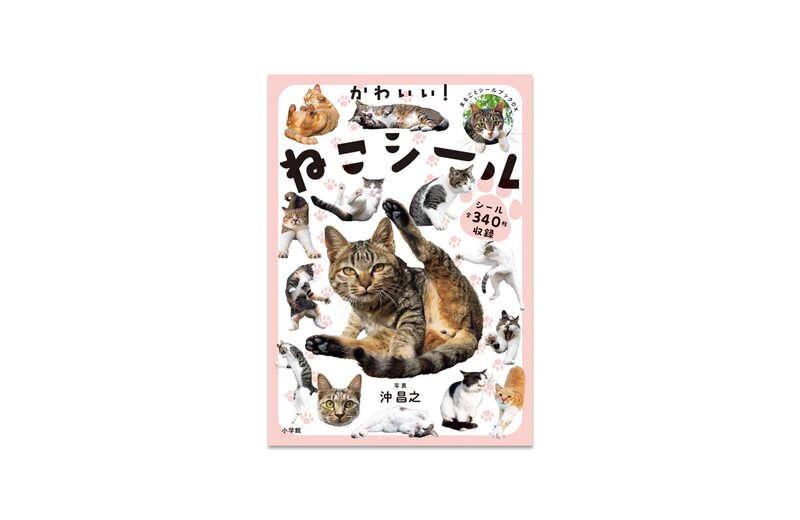Cute! Cats Stickers - Masayuki Oki | moom bookshop - art books and