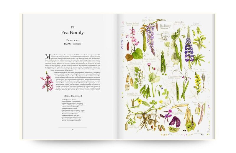 The Album of Plant Families: An Illustrated Exploration of