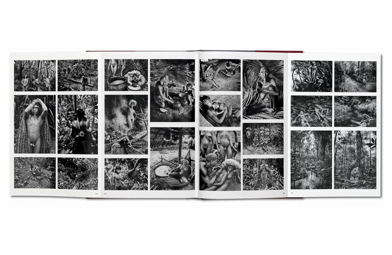 Sebastião Salgado. GENESIS - Sebastião Salgado | moom bookshop