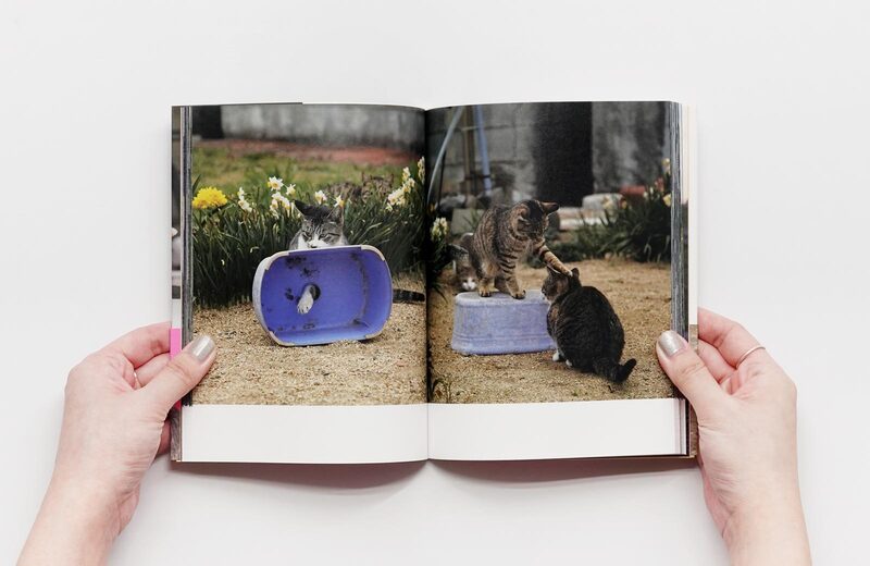 Zannen sugiru Neko - Masayuki Oki | moom bookshop - art books and