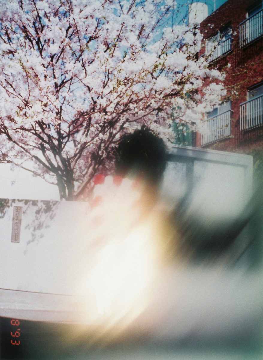 photographs - Yoshiyuki Okuyama | moom bookshop - art books and