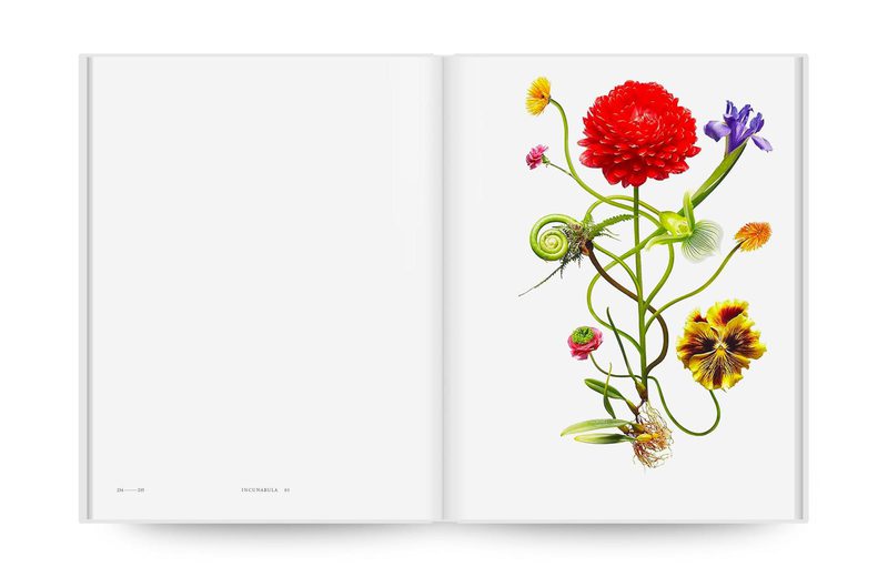 Encyclopedia of Flowers VI - Azuma Makoto, Shiinoki Shunsuke