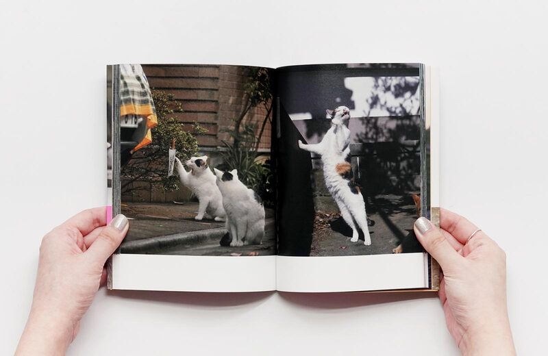 Zannen sugiru Neko - Masayuki Oki | moom bookshop - art books and
