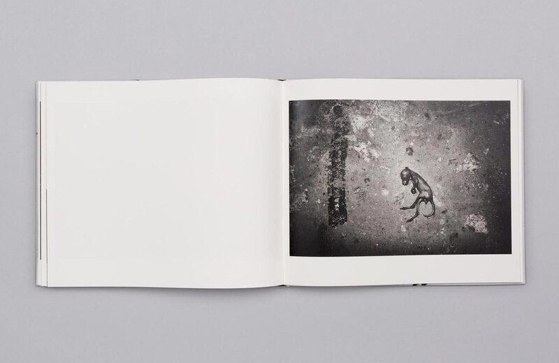 Minutes to Midnight - Trent Parke | moom bookshop - art books and