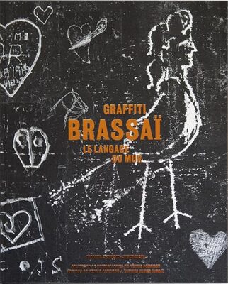 Graffiti, le langage du mur (9782365111157)