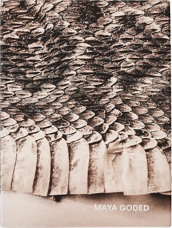 The Serpent’s Trail (9788410290198)