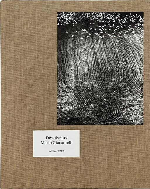 Des oiseaux - Mario Giacomelli (9782365114738)
