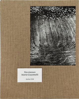 Des oiseaux - Mario Giacomelli (9782365114738)