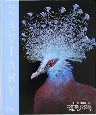 Aviary: The Bird in Contemporary Photography (9780500029084)