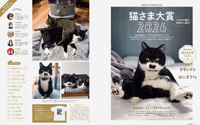 anan Special Edition: Cat LOVE – Fluffy Bumper Harvest | moom