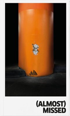 (Almost) Missed (9789526528656)