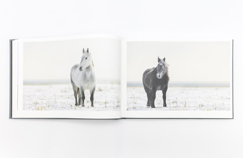 ユルリ島の馬 - 岡田敦 | moom bookshop - 藝術書籍與雜誌