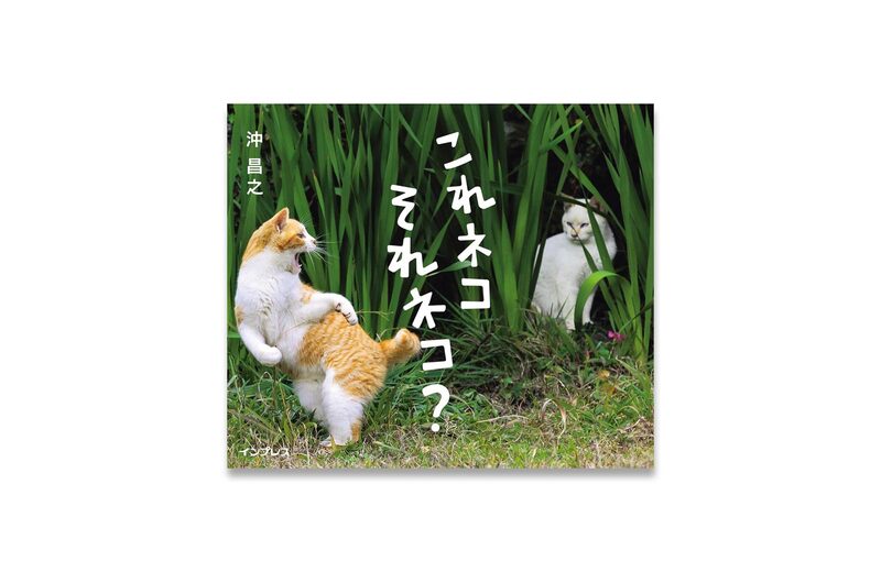 franchelippee キャット cat アニマル 動物 猫 人気 ロング This Cat, That Cat? - Masayuki Oki | moom bookshop - art books and