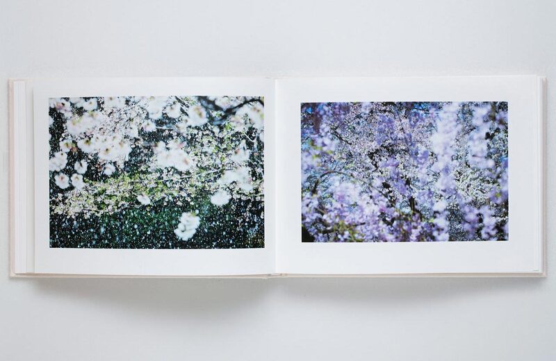 Mika Ninagawa: VIRA (SKY Edition) - Mika Ninagawa | moom bookshop