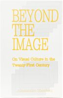 Beyond the Image: On Visual Culture in the Twenty-First Century (9789083605234)