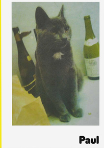 Paul (9783907384114)