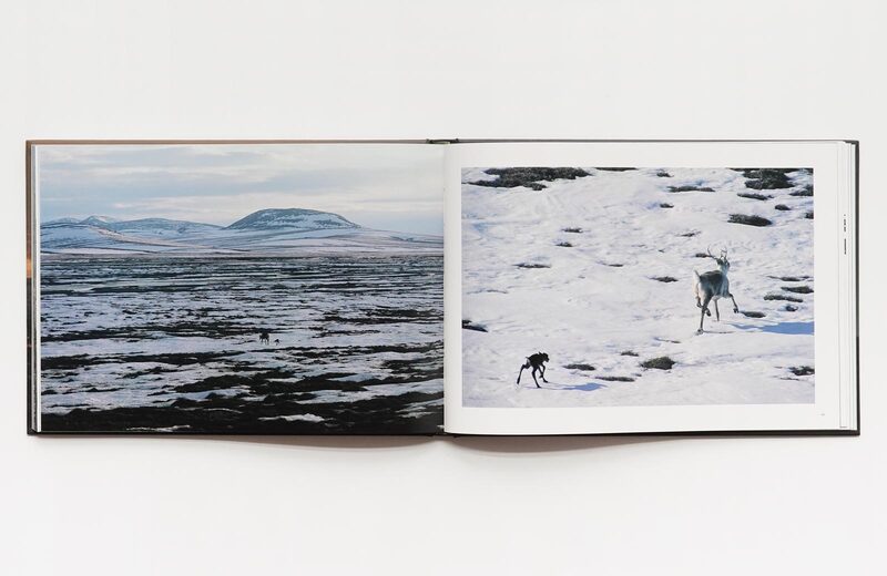 カリブー極北の旅人- 星野道夫| moom bookshop - 攝影書與雜誌