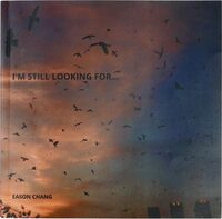 I’m Still Looking For...