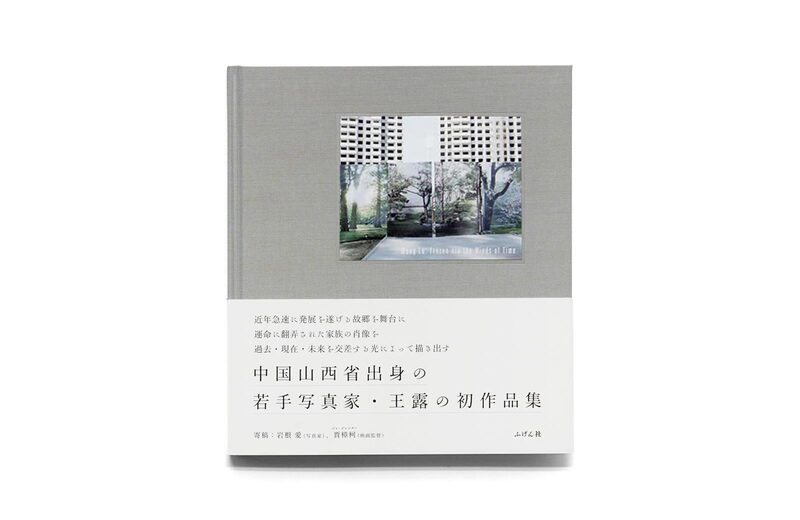 Frozen are the Winds of Time - Wang Lu | moom bookshop