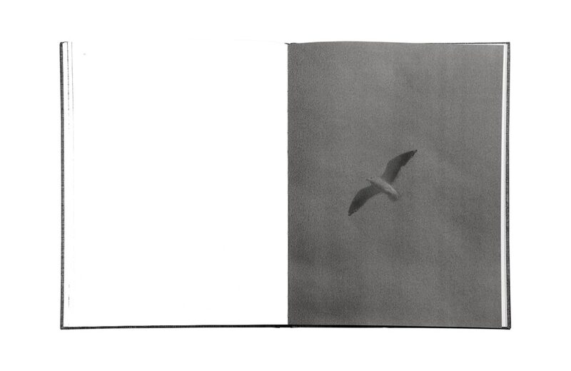 Byung-Hun Min 「 Des Oiseaux 」鳥の写真集　風景　自然 Des Oiseaux - Byung-hun Min - Byung-Hun Min | moom bookshop
