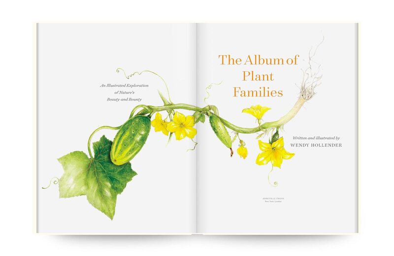 The Album of Plant Families: An Illustrated Exploration of