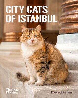 City Cats of Istanbul (9780500298411)