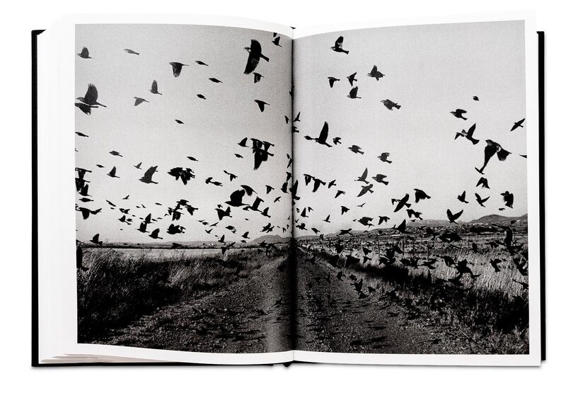 The Mennonites - Larry Towell | moom bookshop - art books and