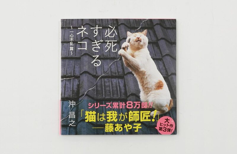 必死すぎるネコ：一心不乱篇 - 沖昌之 | moom bookshop - 藝術書籍與雜誌