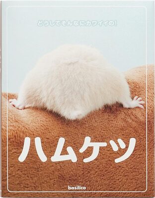 Hamuketsu (9784862382085)